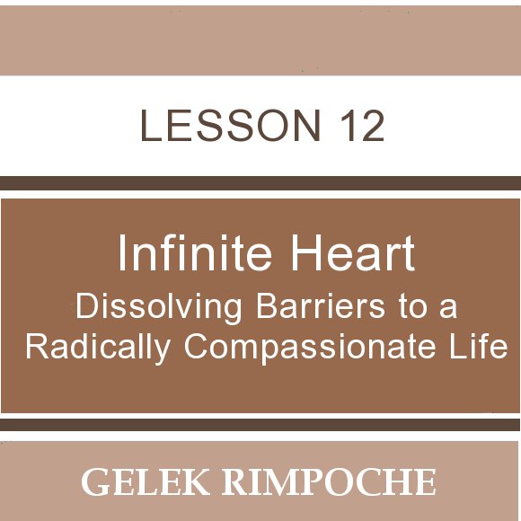 Infinite Heart: Lesson 12