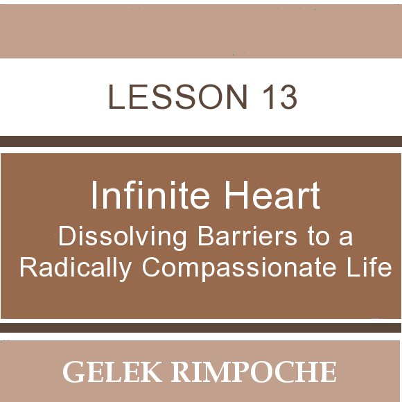 Infinite Heart: Lesson 13