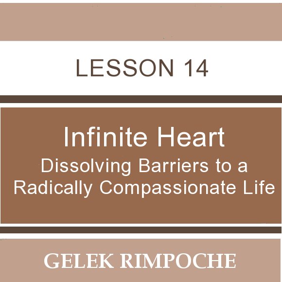 Infinite Heart: Lesson 14