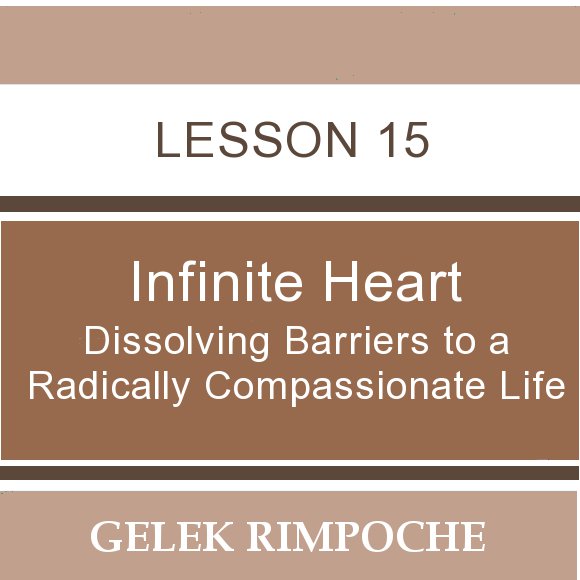 Infinite Heart: Lesson 15