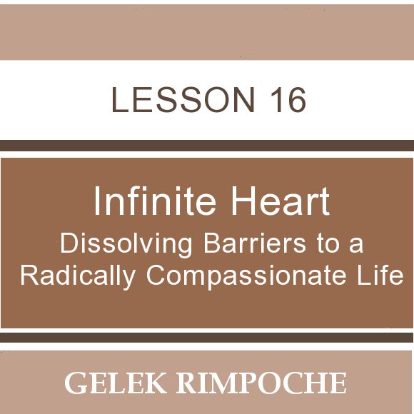 Infinite Heart: Lesson 16