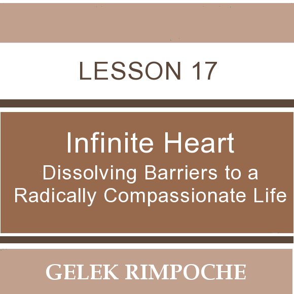 Infinite Heart: Lesson 17