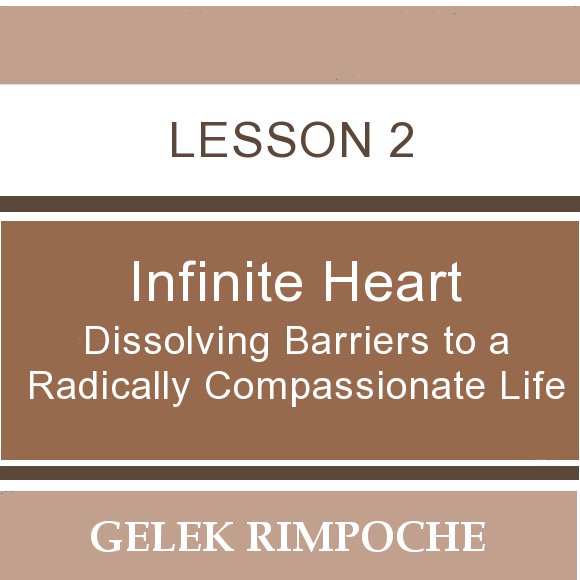 Infinite Heart: Lesson 2