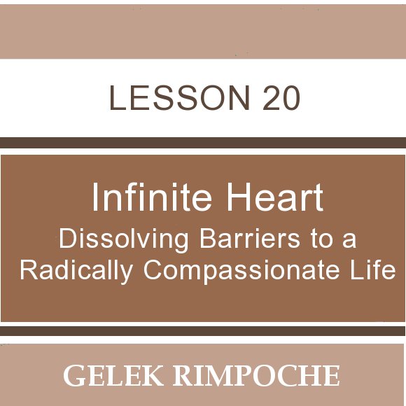Infinite Heart: Lesson 20