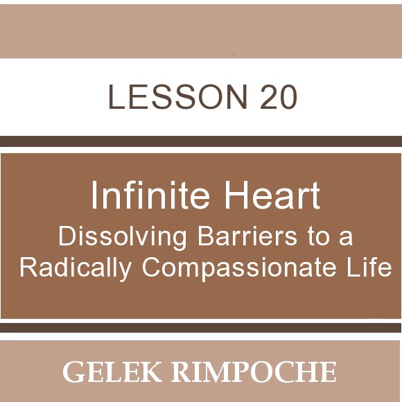 Infinite Heart: Lesson 20