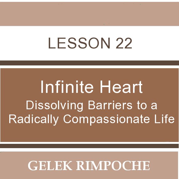 Infinite Heart: Lesson 22