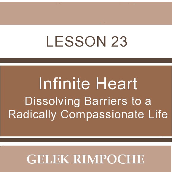 Infinite Heart: Lesson 23