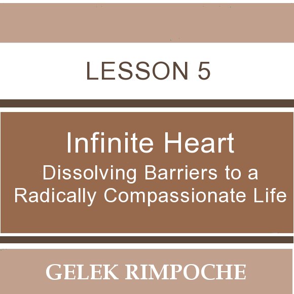Infinite Heart: Lesson 5