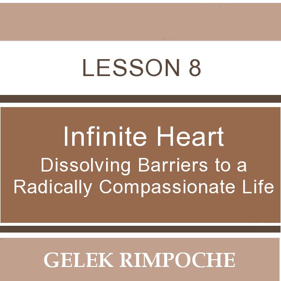 Infinite Heart: Lesson 8