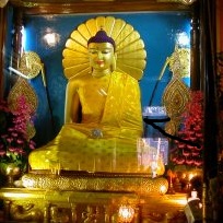 “Footsteps of Buddha” Pilgrimage Through Nepal and India (2016)
