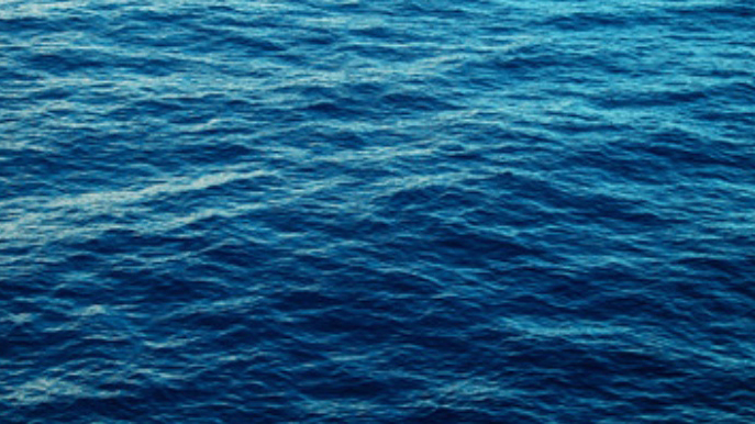SEM JH Webpage banner