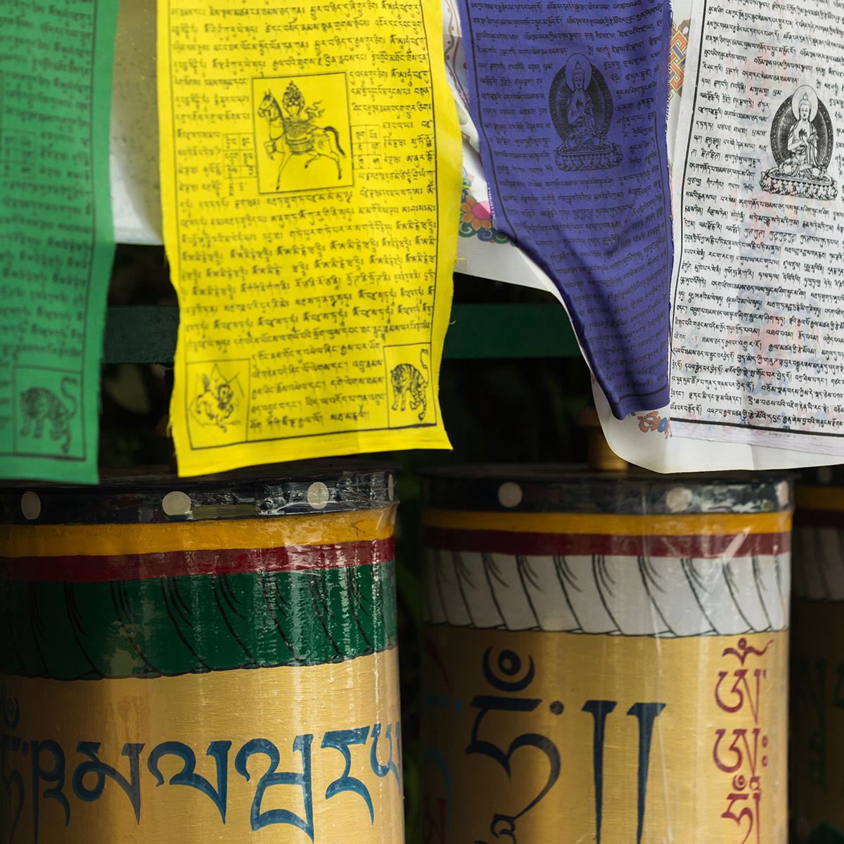 Pilgrimage to Ladakh & Dharamsala (2017) Jewel Heart