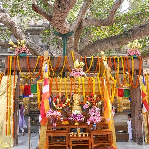 Pilgrimage to Kathmandu & Lumbini in Nepal