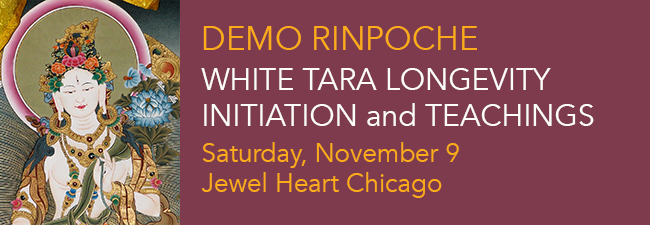 White Tara Longevity Initiation and Teaching - Demo Rinpoche