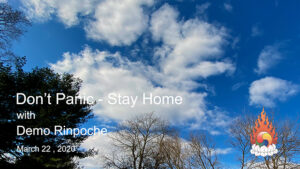 Don’t Panic – Stay Home – Demo Rinpoche Sunday Talk 37