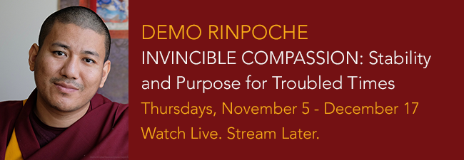Invincible Compassion - Stability and Purpose for Troubled Times